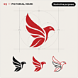 03-Pictorial-Mark