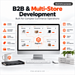 B2B-&-Multi-Store-Development