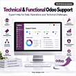 Technical-&-Functional-Odoo-Support