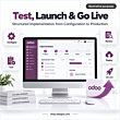 Test,-Launch-&-Go-Live